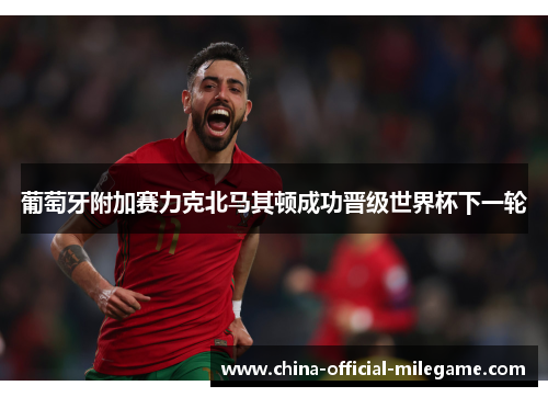 葡萄牙附加赛力克北马其顿成功晋级世界杯下一轮